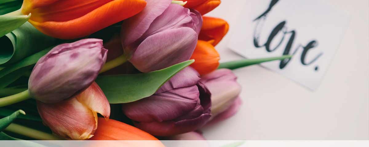 cabecera libro firmas