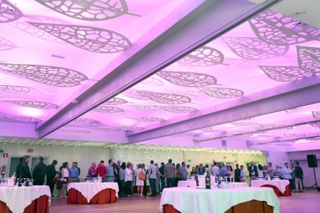 Boda civil, ¿dónde oficiarla? 16 salon con iluminación en morado de bodas